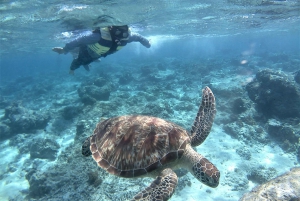 Lombok: Gili Trawangan, Meno, Escursione di snorkeling in aereo incl. Pranzo