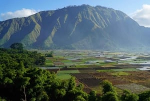 Lombok: Gili Trawangan / Meno / Air Tour (incl. Lunch)
