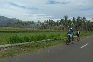 Lombok: Halvdags sykkeltur i byen og på Pengsong-landskapet