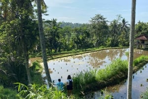 Lombok Hidden Gem