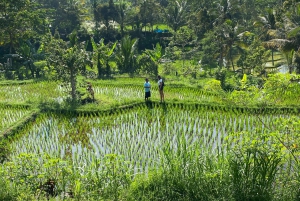 Lombok Hidden Gem