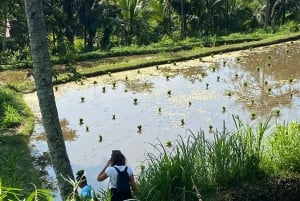 Lombok Hidden Gem