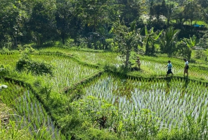 Lombok Hidden Gem