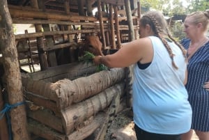 Visita às cascatas escondidas, à cultura e à aldeia de Lombok