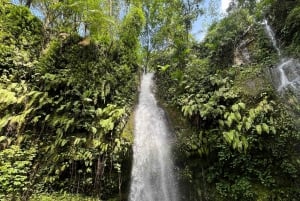 Visite des chutes d'eau cachées, de la culture et des villages de Lombok