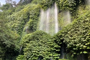 Lombok : wandelen- rijstterras & watervallen tour