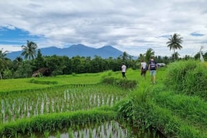 Lombok : Location de chauffeur-guide pour les passagers des croisières - Visite d'une journée