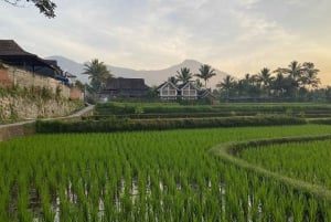 Lombok: Tour privato completo e personalizzabile con guida e autista