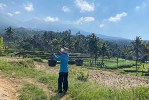 Lombok: Tour Privado Completo Personalizable Con Conductor-Guía