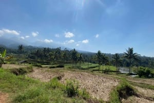 Lombok: Fullt tilpassbar privat tur med sjåfør og guide