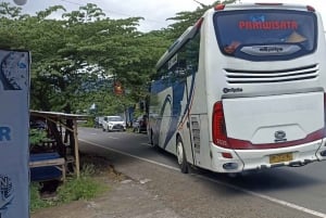 Lombok: Komodo Island 4-dagars båttur med mat och pension