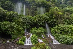 Lombok: Lombok Waterfall Adventure - Full Day