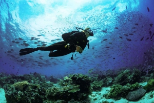 Lombok: Open Water Diver Course