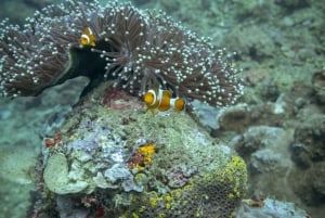 Lombok: Open Water Diver Course