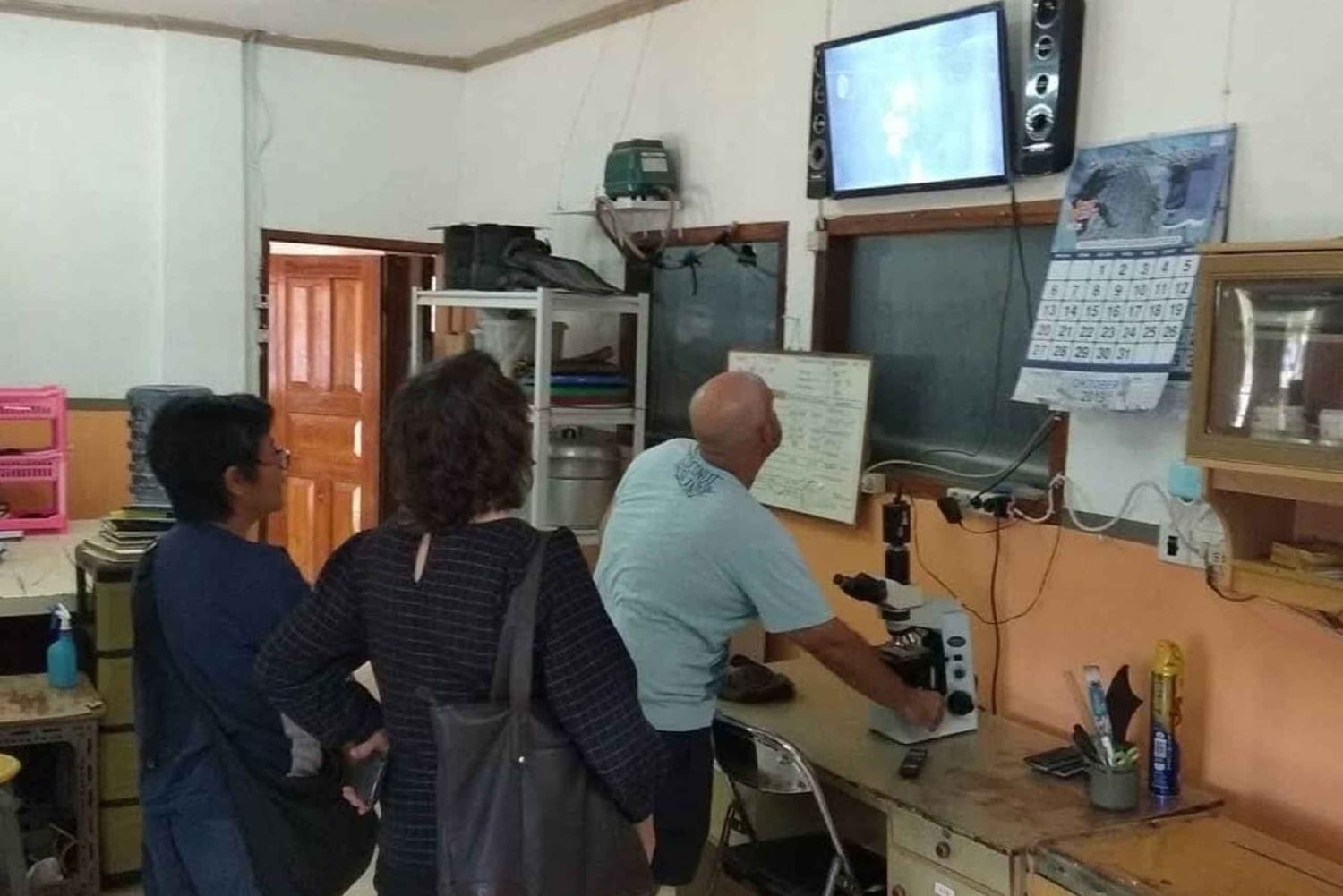 Lombok: wycieczka 1-dniowa na farmę pereł i Gili Air