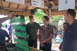 Lombok: wycieczka 1-dniowa na farmę pereł i Gili Air
