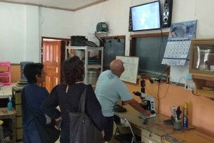 Lombok: wycieczka 1-dniowa na farmę pereł i Gili Air