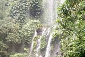 Lombok: Upphämtning från hamn/flygplats + vattenfallstur + avlämning vid hotell