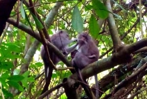 Lombok: Upphämtning från hamn/flygplats + vattenfallstur + avlämning vid hotell