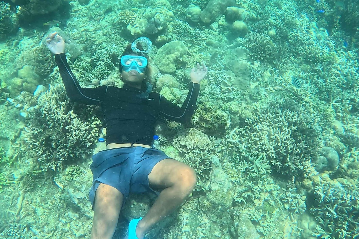 Lombok: Pink Beach and Snorkeling Trip With Lunch