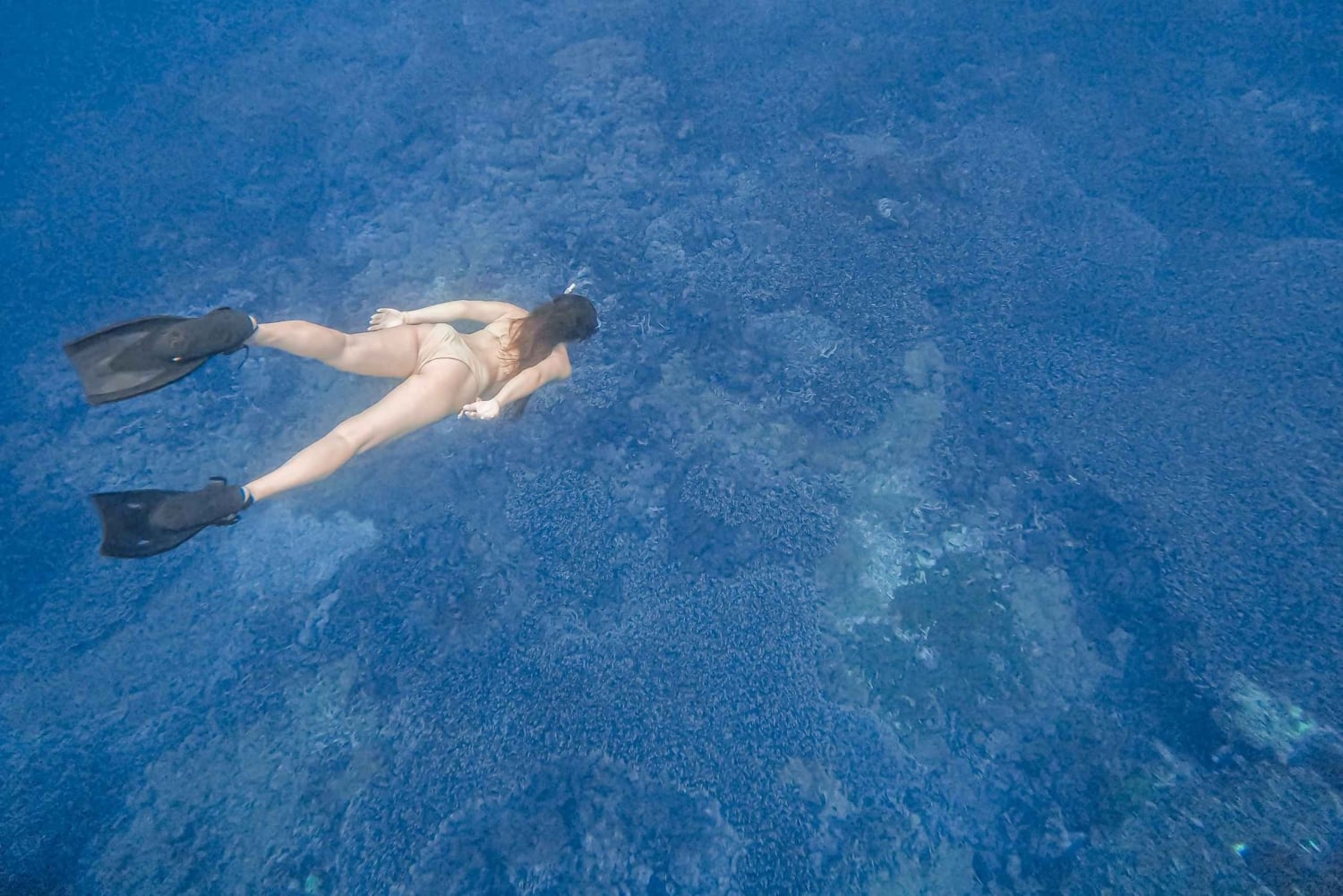 Lombok: Pink Beach and Snorkeling Trip With Lunch