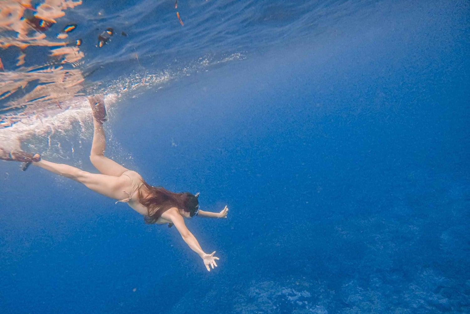 Lombok: Pink Beach and Snorkeling Trip With Lunch