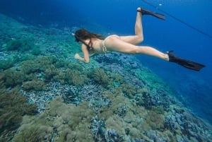 Lombok: Pink Beach and Snorkeling Trip With Lunch