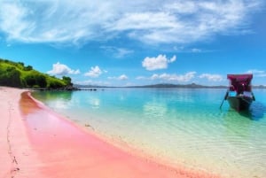 Exklusive private Tour zum Pink Beach mit Schnorcheln