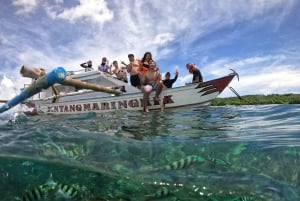 Exklusive private Tour zum Pink Beach mit Schnorcheln