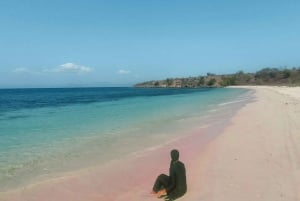 Exklusive private Tour zum Pink Beach mit Schnorcheln