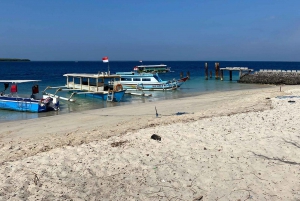 Lombok : Viagem de barco à praia cor-de-rosa (dia inteiro + snorkeling)