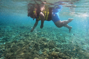 Gita in barca sulla spiaggia rosa di Lombok: Snorkeling e relax