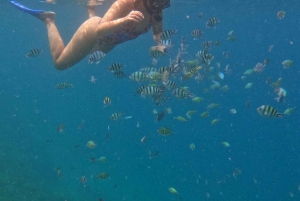 Excursion en bateau sur la plage rose de Lombok : plongée avec tuba et détente