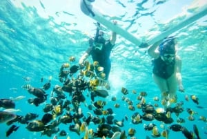 Lombok: Pink Beach, Gili Petelu & private Schnorcheltour