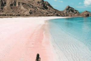 Lombok: Całodniowa wycieczka na różową plażę z nurkowaniem i piknikiem