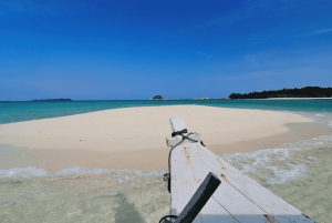 Lombok: Całodniowa wycieczka na różową plażę z nurkowaniem i piknikiem