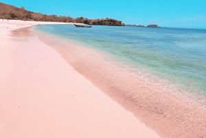 Lombok: Snorkling og piknik på den rosa stranden - heldagstur