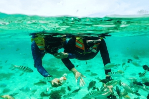 Lombok: Całodniowa wycieczka na różową plażę z nurkowaniem i piknikiem