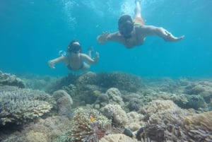 Lombok: Pink Beach snorkeltur inklusiv frokost