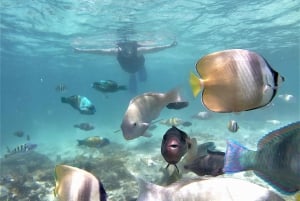 Lombok: Escursione di snorkeling sulla spiaggia rosa con pranzo incluso