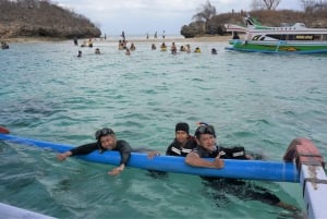 Lombok: Excursión de snorkel a la Playa Rosa con almuerzo incluido