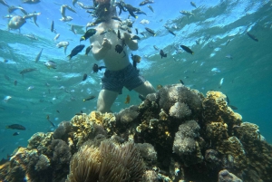 Lombok: Pink Beach Snorkeling Trip Include Lunch