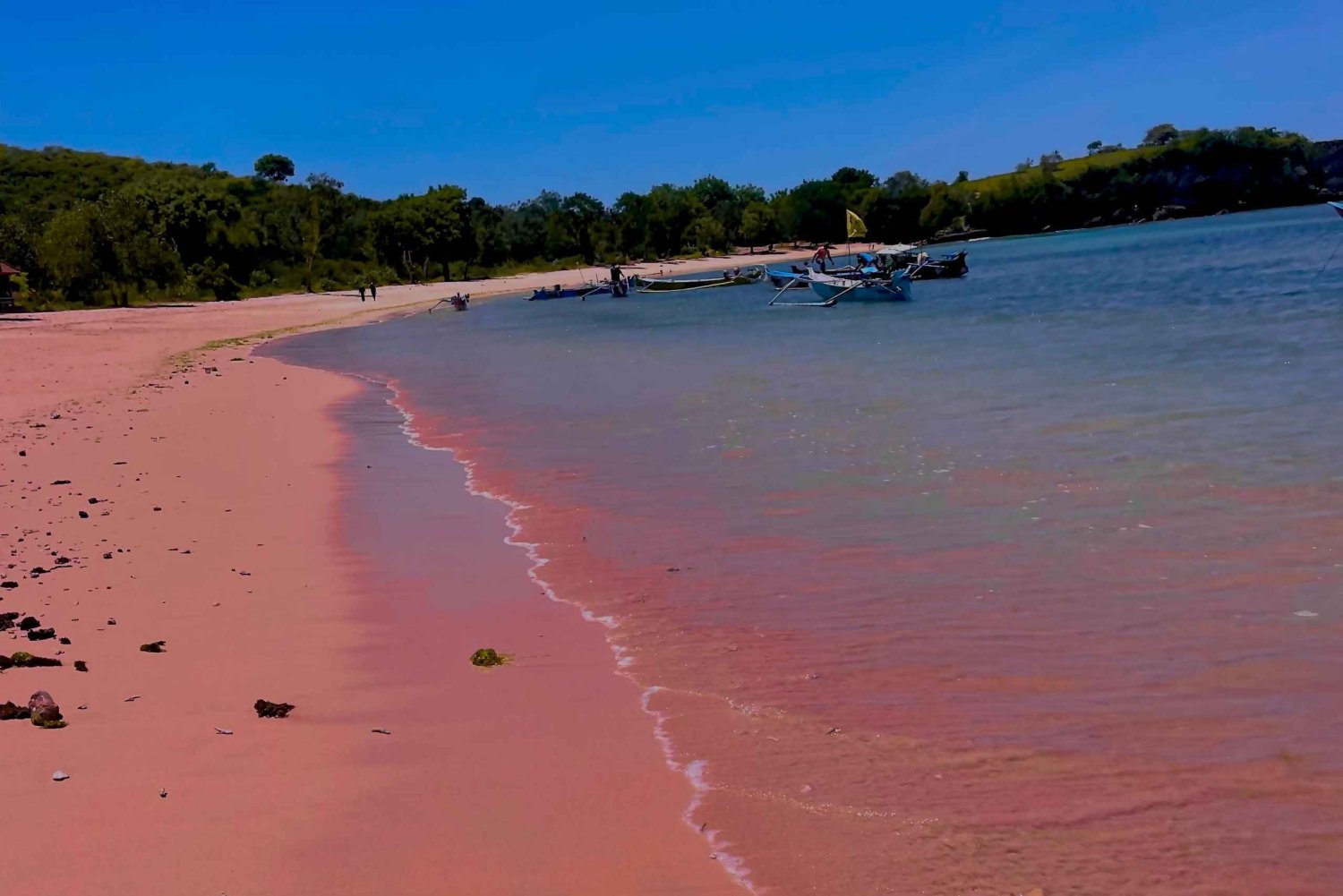 Lombok: Snorklingsresa till Pink Beach