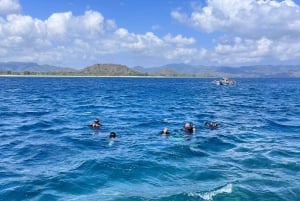 Lombok: Viagem de mergulho na Praia Rosa