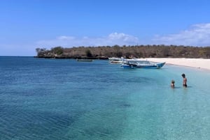 Lombok: Viagem de mergulho na Praia Rosa