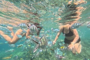 Lombok: Viagem de mergulho na Praia Rosa