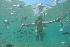 Lombok: Viagem de mergulho na Praia Rosa