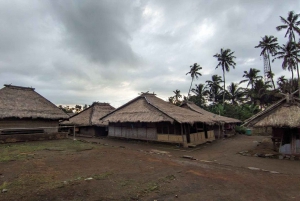 Lombok: prywatna jednodniowa wycieczka: przyroda, kultura i południowa plaża