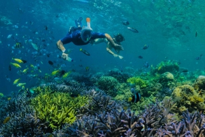 Lombok: Yksityinen snorklaus Gili Kondo, Gili Bidara, Gili Kapal.