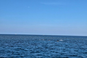 Lombok:Privat Snorkeling Gili Kondo, Gili Bidara, Gili Kapal.